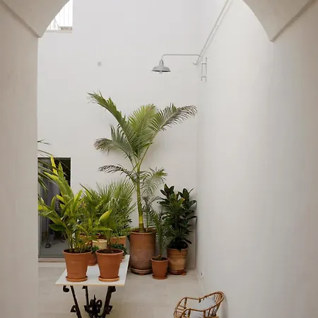 Tatil Evi Palazzo Coppola