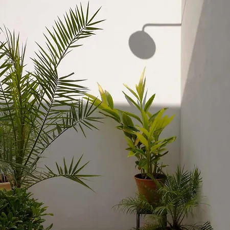 Palazzo Coppola * Matino