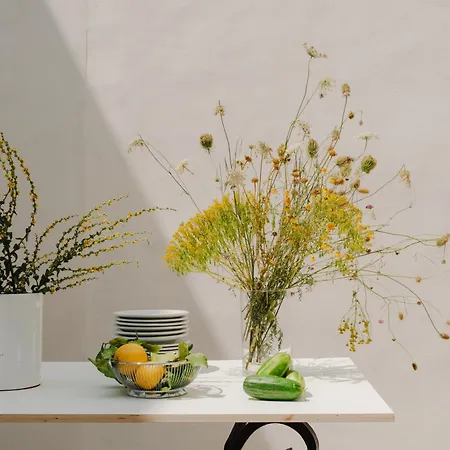 Tatil Evi Palazzo Coppola Matino