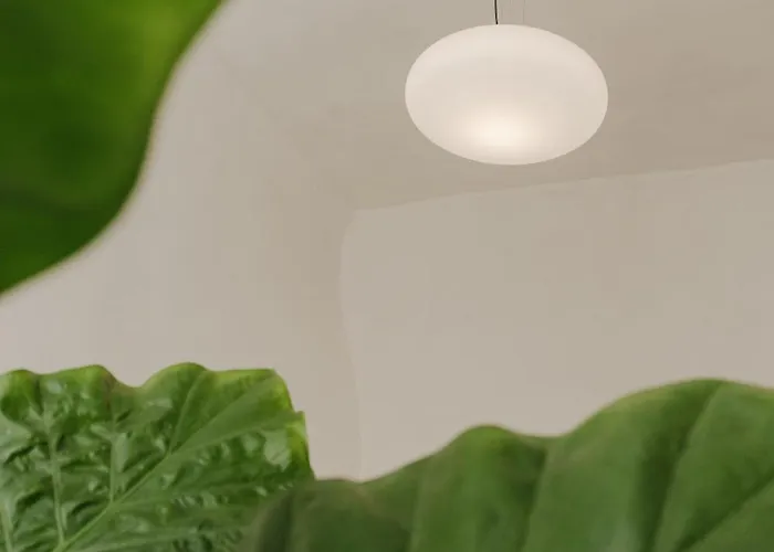 Palazzo Coppola בית נופש