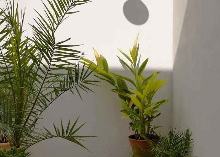 Palazzo Coppola * ماتينو